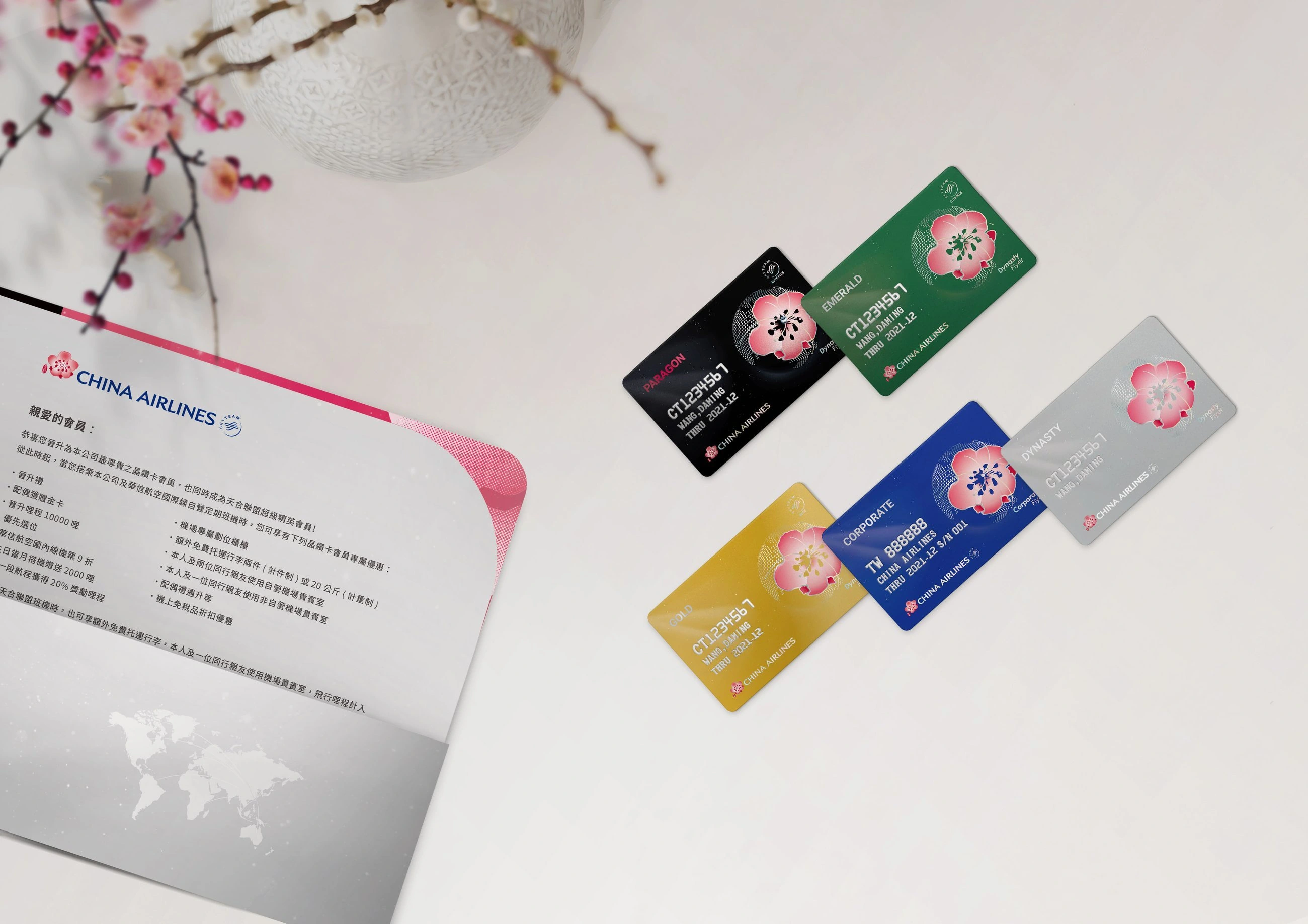 China Airlines CIS visual